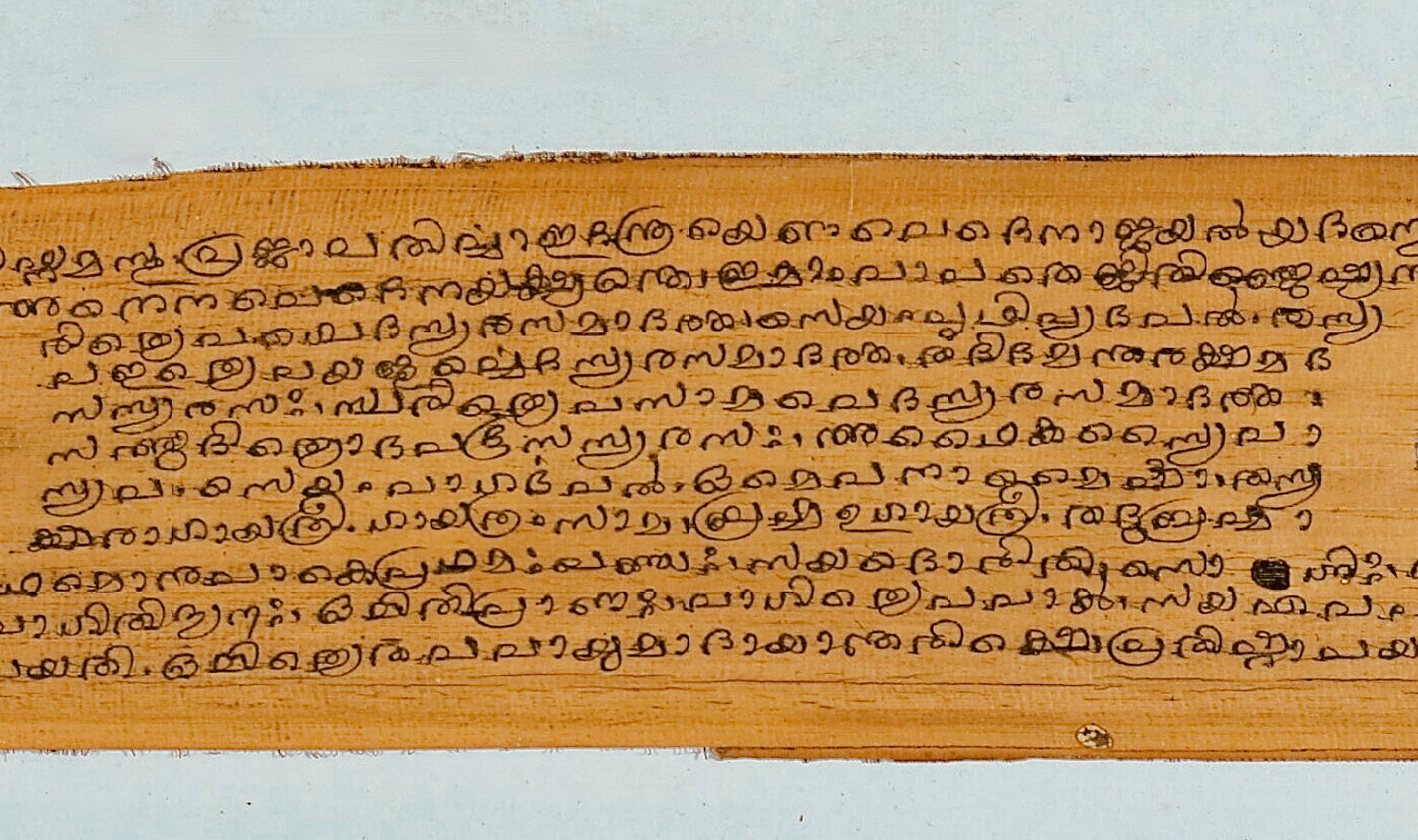 Palm-leaf manuscript of an Upanishad in Malayalam script